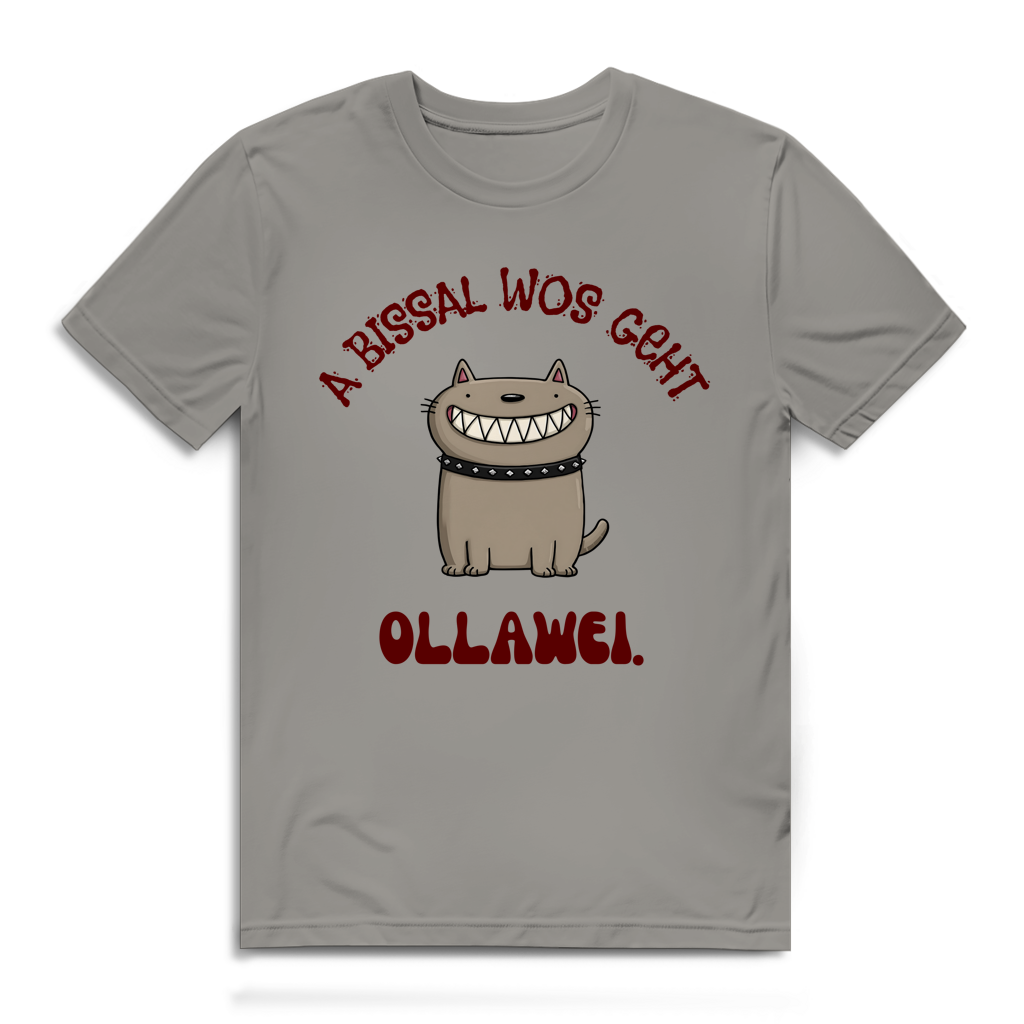 A bissal wos geht ollawei – Herren Bio T-Shirt